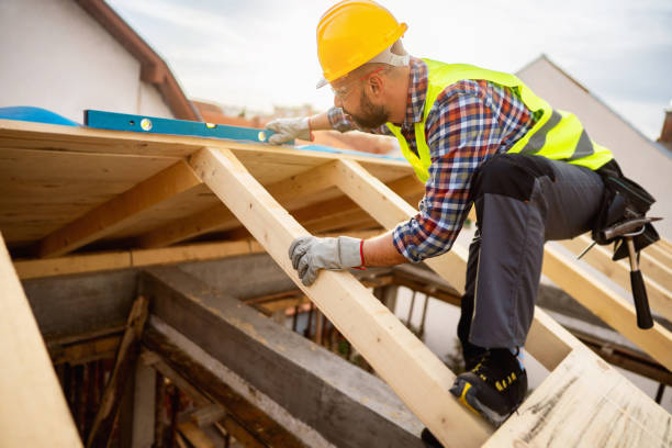 Best Roof Gutter Cleaning  in New Town, ND