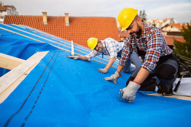 Best Flat Roof Repair Services  in New Town, ND