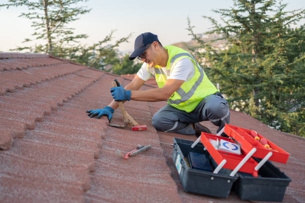 Best Flat Roof Repair Services  in New Town, ND