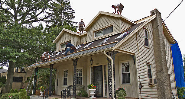Best Storm Damage Roof Repair  in New Town, ND