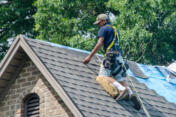 Best Shingle Roofing Installation  in New Town, ND